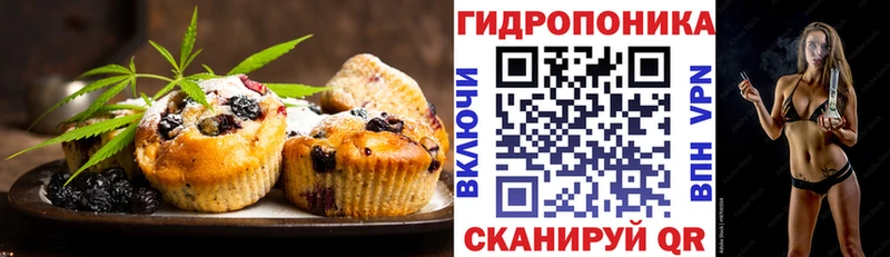 Canna-Cookies марихуана  Щёлкино 