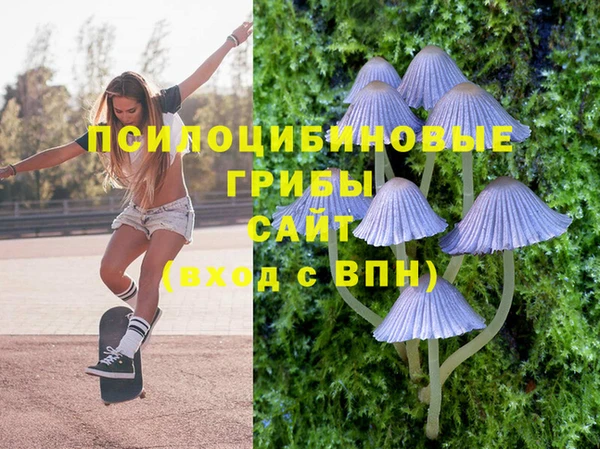 MDMA Premium VHQ Коряжма